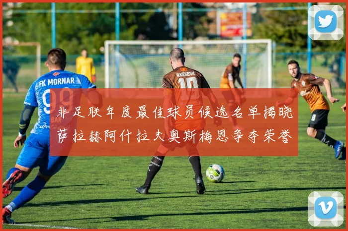 非足联年度最佳球员候选名单揭晓萨拉赫阿什拉夫奥斯梅恩争夺荣誉