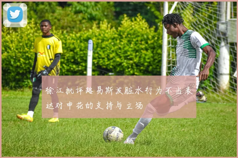 徐江批评路易斯泼脏水行为不当表达对申花的支持与立场
